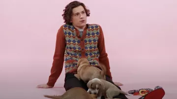 Le cardigan rouge et à motifs porté par Tom Holland dans Tom Holland: The Puppy Interview (Part Two) vidéo YouTube