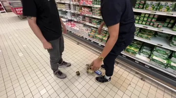 Le pantalon cargo de Joyca dans la vidéo YouTube LE HASARD DÉCIDE DE NOS INGREDIENTS ! (Les plats n'ont aucun sens) @TheoBabac