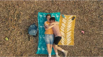 Blue Flamingo Beach Towel of Nick Nelson (Kit Connor) in Heartstopper (Season 1 Episode 8)