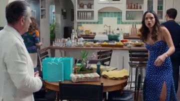 Blue printed dress worn by Sofia Herrera (Adria Arjona) as seen in Father of the Bride