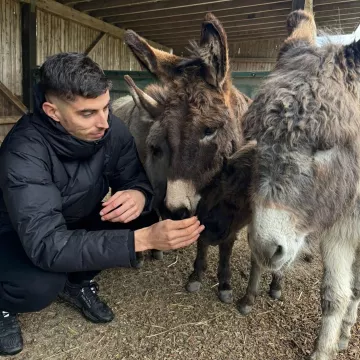 Des baskets noires portées par Kai Havertz sur son compte Instagram @kaihavertz29