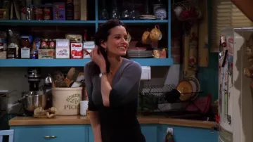 Série télévisée Outfits of Friends : Monica Geller (Courteney Cox) porte un pull gris ombré dans la saison 5, épisode 17