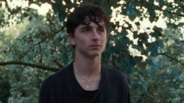 Jumper of vulnerability worn by Elio Perlman (Timothée Chalamet) as seen in Call Me By Your Name