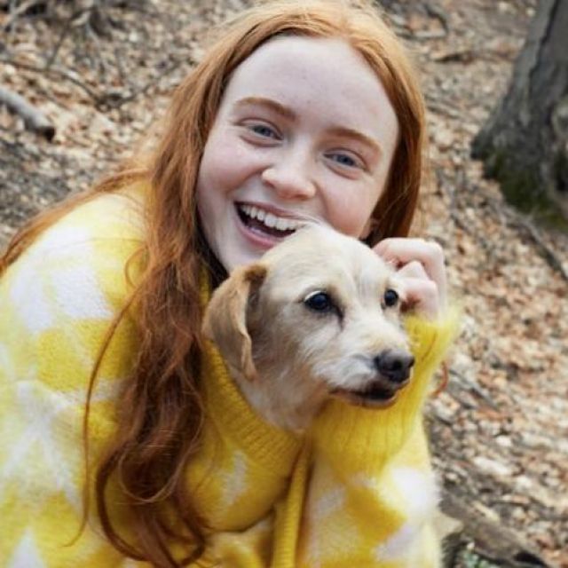 The sweater yellow Miu Miu worn by Sadie Sink for a photshoot of System ...