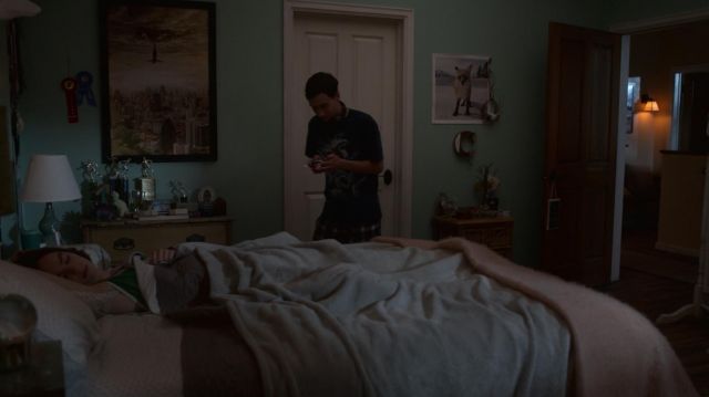 Le poster New York dans la chambre de Casey Gardner (Brigette Lundy-Paine) dans Atypical S02E09
