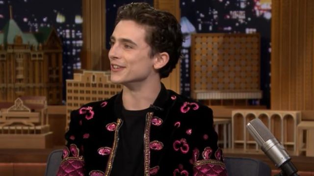 Bomber Jacket worn by Timothée Chalamet in The Tonight Show Starring Jimmy Fallon on October 10, 2018