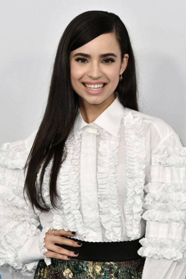 The shirt as worn by Sofia Carson aka April Dibrina in the film Feel the Beat on a post-Instagram