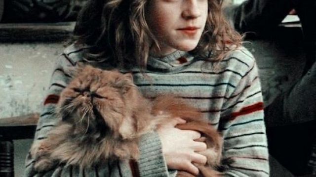 Pull rayé porté par Hermione Granger Emma Watson dans Harry Potter et le Prisonnier d&#39;Azkaban