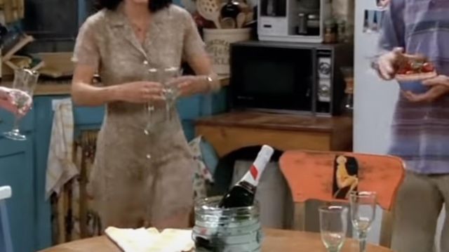 Image de Monica Geller (Courteney Cox) dans Friends (S02E01)