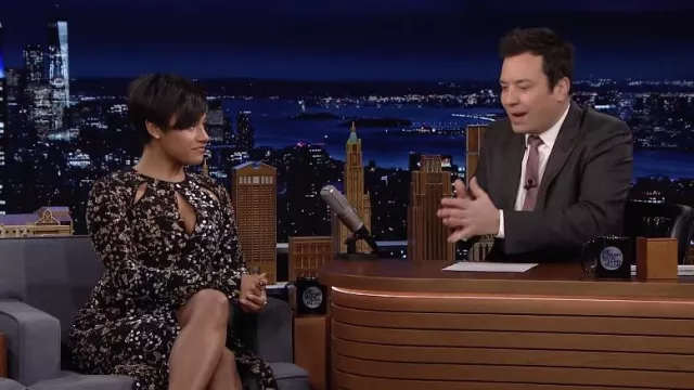 Printed Dress worn by Ariana DeBose as seen in The Tonight Show Starring Jimmy Fallon movie