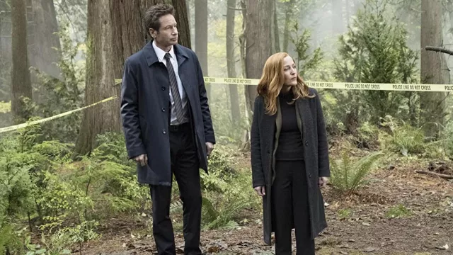 Dark Grey Wool Coat worn by Dana Scully (Gillian Anderson) as seen in The X-Files TV series outfits (Season 11 Episode 6)