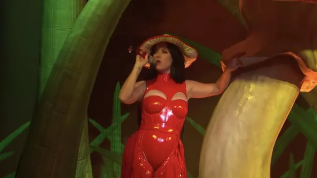 Red Bustier Jumpsuit worn by Katy Perry for her "When I’m Gone" Live Performance on Saturday Night Live 