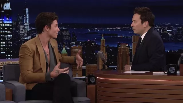 Brown Blazer jacket worn by Shawn Mendes as seen in The Tonight Show Starring Jimmy Fallon