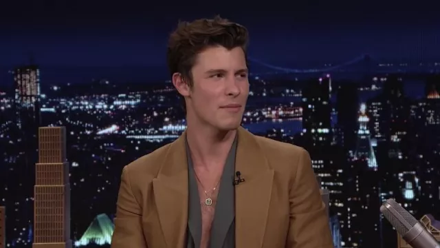 Necklace Pendant worn by Shawn Mendes in The Tonight Show Starring Jimmy Fallon