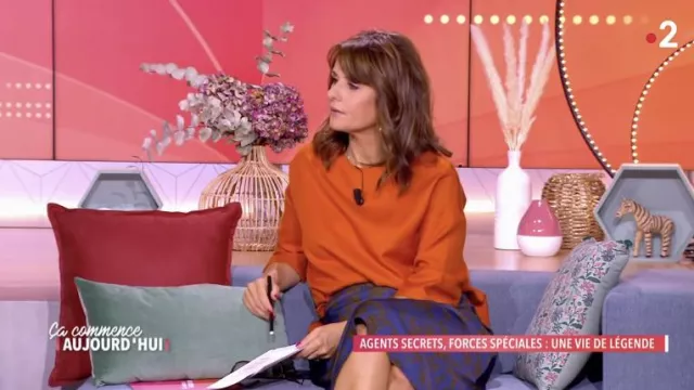 The rust top with round neck and 3/4 sleeve worn by Faustine Bollaert in the show Ça commence aujourd'hui