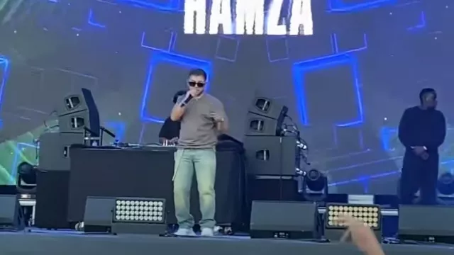 The green pants worn by Hamza during his live performance at the Les Ardentes festival in Liège in 2022