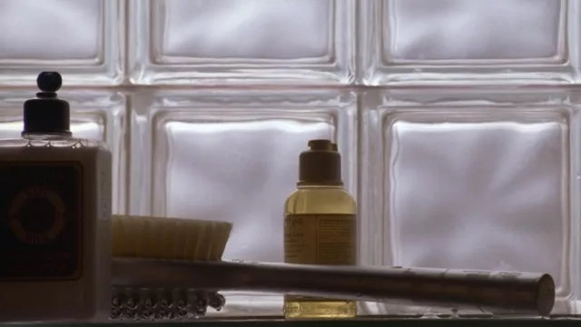 Shower brush used by Patrick Bateman (Christian Bale) as seen in American Psycho movie