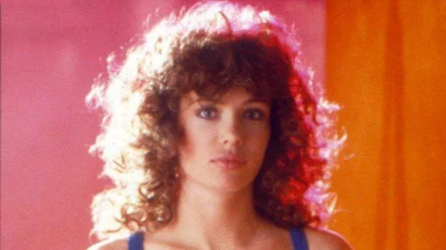 Brown curly wig that looks like the hair of Lisa (Kelly LeBrock) in Weird Science movie 