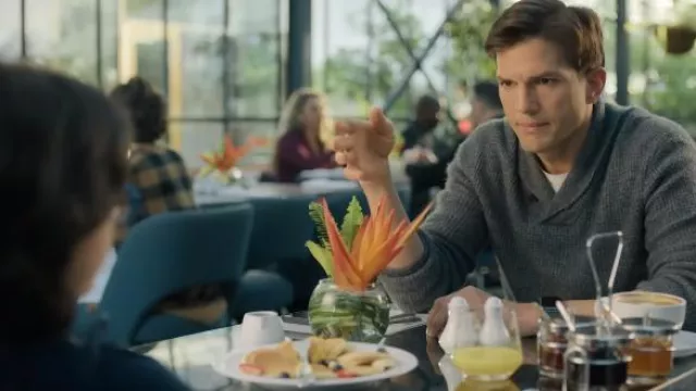 Suéter de cuello gris usado por Peter (Ashton Kutcher) como se ve en Your Place or Mine