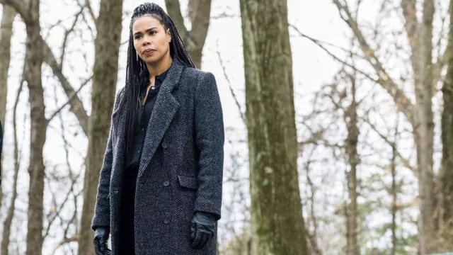 Wool coat worn by Special Agent Sheryll Barnes (Roxy Sternberg) as seen in FBI: Most Wanted (S04E12)
