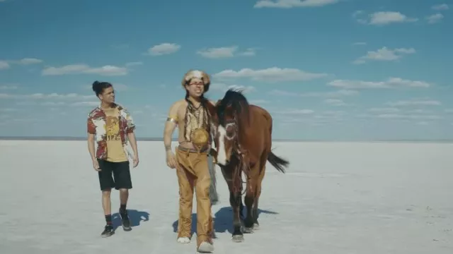 Pantalon marron porté par Spirit (Dallas Goldtooth) comme on le voit dans Reservation Dogs (saison 3 épisode 1)