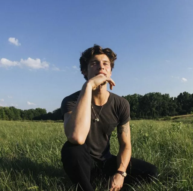 Gray t-shirt worn by Shawn Mendes on the Instagram account @shawnmendes