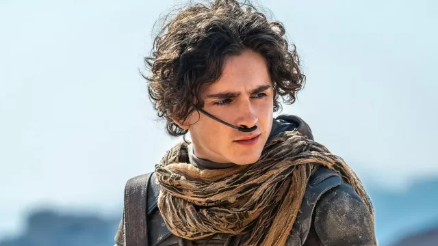 The scarf worn by Paul Atreides (Timothée Chalamet) in the movie Dune